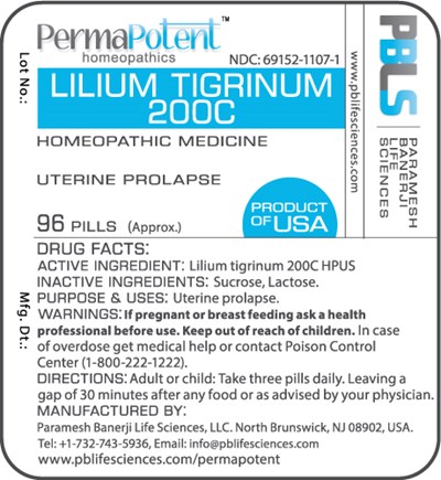 Lilium tigrinum 200C - Lilium tigrinum 200C